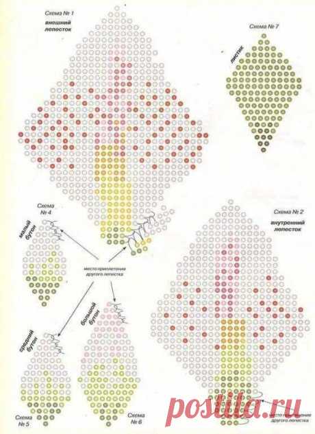 Орхидея фаленопсис из бисера. Орхидея из бисера мастер класс с пошаговым фото. Схема мозаичного плетения орхидеи