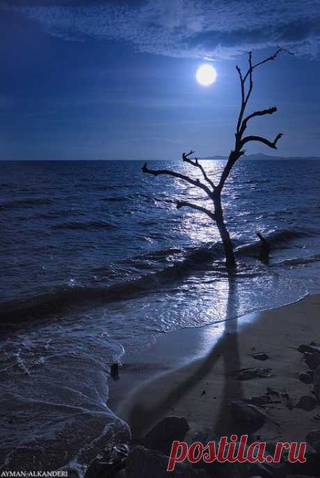 Moonlight by  AYMAN-ALKANDERI на Flickr | Phoenix Richards-Bingham приколол(а) это к доске I am ONE with the MOON.