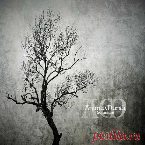 Anima Mundi - Somnium (2025) 320kbps / FLAC