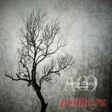 Anima Mundi - Somnium (2025) 320kbps / FLAC