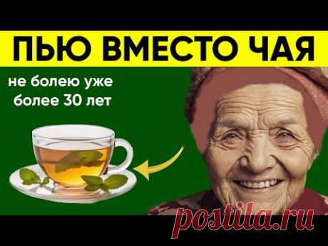 Не Болею Уже Больше 30 лет! Пью Вместе Чая, Сплю Как Младенец! | Здоровье в фокусе