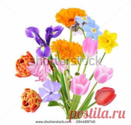 Bouquet Tulips On White Background Imagen De Archivo (stock) 92600095 - Shutterstock