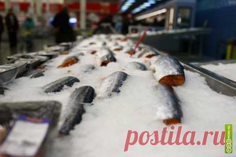 В российских магазинах подорожал норвежский лосось после транзита через Белоруссию - Новости - Properm.ru