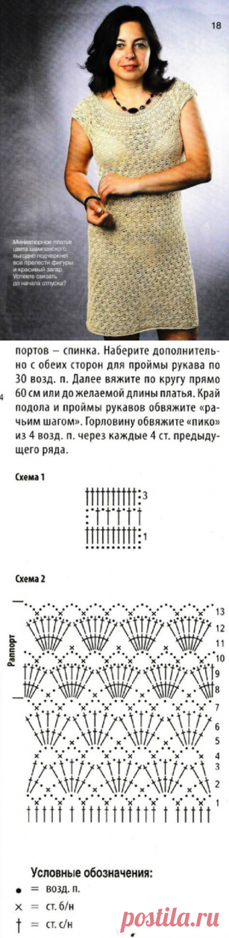 Ракушки цвета шампань