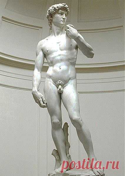 Сотворение Ренессанса. 10 грандиозных произведений Микеланджело | Фото | Культура | Аргументы и Факты