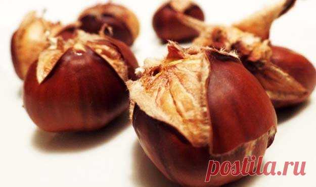 Осень и #здоровье. При чем здесь каштаны
-  Это вкусный и полезный дар природы

#Каштаны — что можно приготовить. #Рецепты
- Каштановый крем: простой рецепт вкусной пасты
- Кастаньяччо: каштановый #кекс из Тосканы (веганский)
- Кастаньяччо, осенний апулийский #десерт