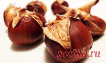 Осень и #здоровье. При чем здесь каштаны
-  Это вкусный и полезный дар природы

#Каштаны — что можно приготовить. #Рецепты
- Каштановый крем: простой рецепт вкусной пасты
- Кастаньяччо: каштановый #кекс из Тосканы (веганский)
- Кастаньяччо, осенний апулийский #десерт