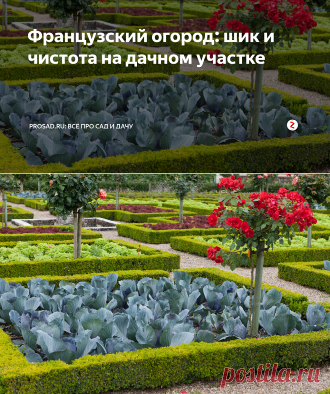 Французский огород: шик и чистота на дачном участке | Prosad.ru: Все про сад и дачу | Яндекс Дзен