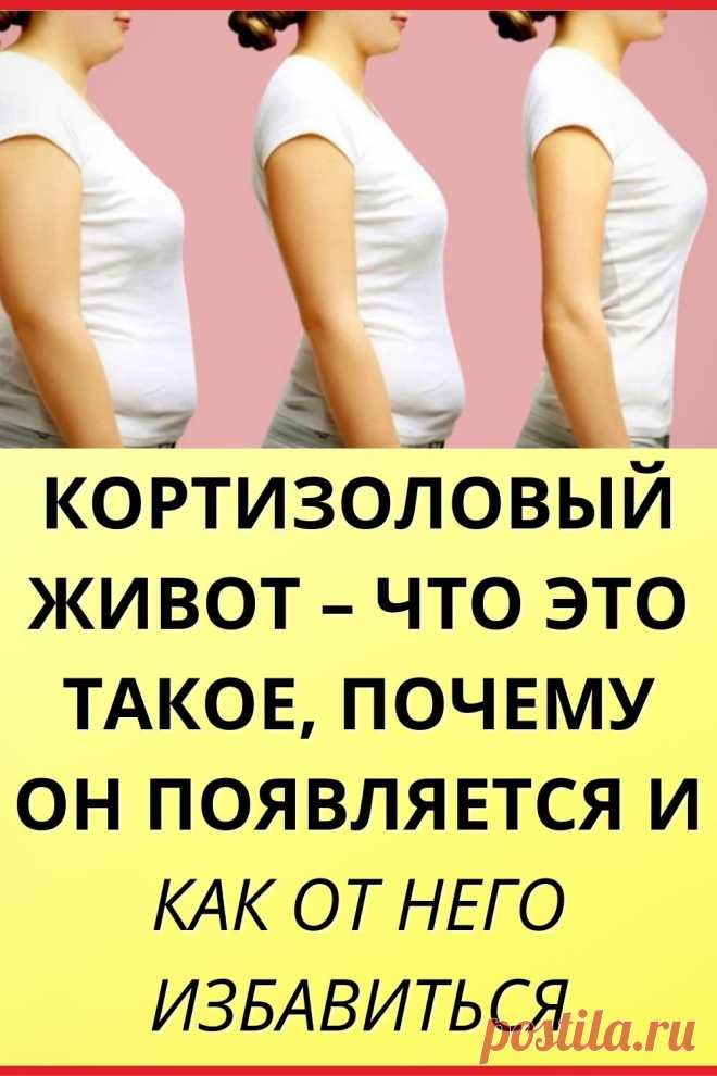 Кортизоловый живот – что это такое, почему он появляется и как от него ...