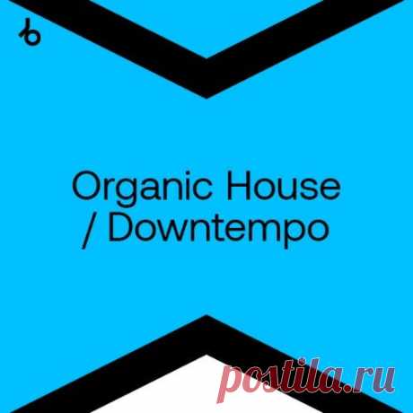 Beatport Best New Hype Organic House March 2024 » MinimalFreaks.co