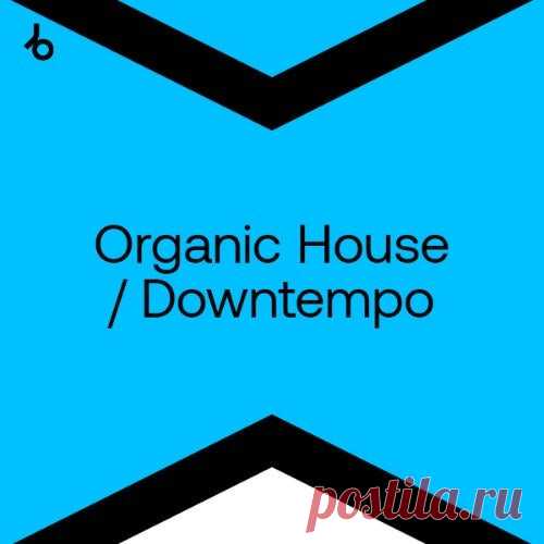 Beatport Best New Hype Organic House April 2024 » MinimalFreaks.co