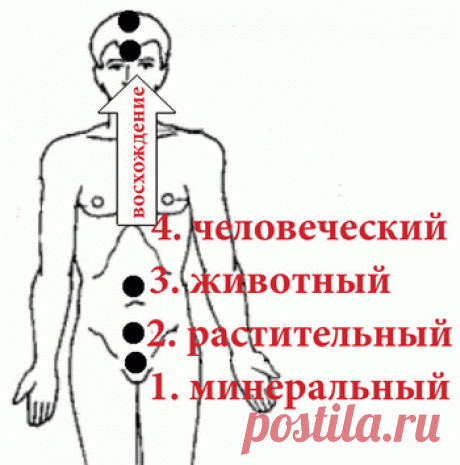 Между реальностью и иллюзиями, или Кто управляет вашим сознанием? - 
обычное «цивилизованное» сознание (многих и многих людей) сегодня окутано такой мощной «облачностью» или «туманом» разных массивов информации, что оно, сознание, как ежик в тумане, может себе что угодно «нарисовать» об окружающем мире. Чтобы как можно правдоподобней обмануть себя (так, как никто на свете, так, чтобы поверить в это)!..