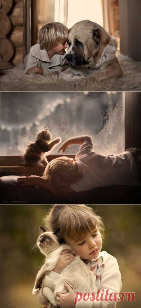 Россиянка создает потрясающие фотографии своих детей с животными в деревне • НОВОСТИ В ФОТОГРАФИЯХ