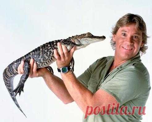 Стив Ирвин мог отметит 60-летие: дети трогательно почтили память "охотника за крокодилами"