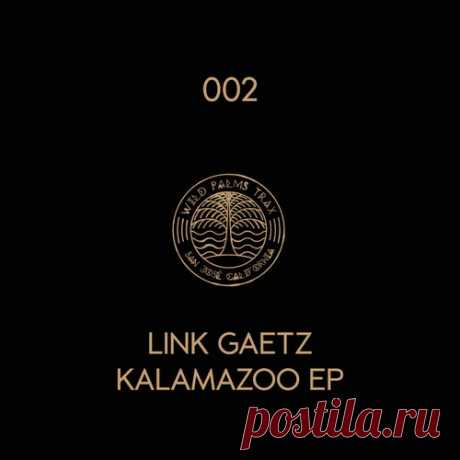 Link Gaetz - Kalamazoo [Wild Palms Trax]