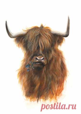 Art by Lana Mathieson | Scottish Themed Art | Custom Pet Portraits | Lanark, Scotland