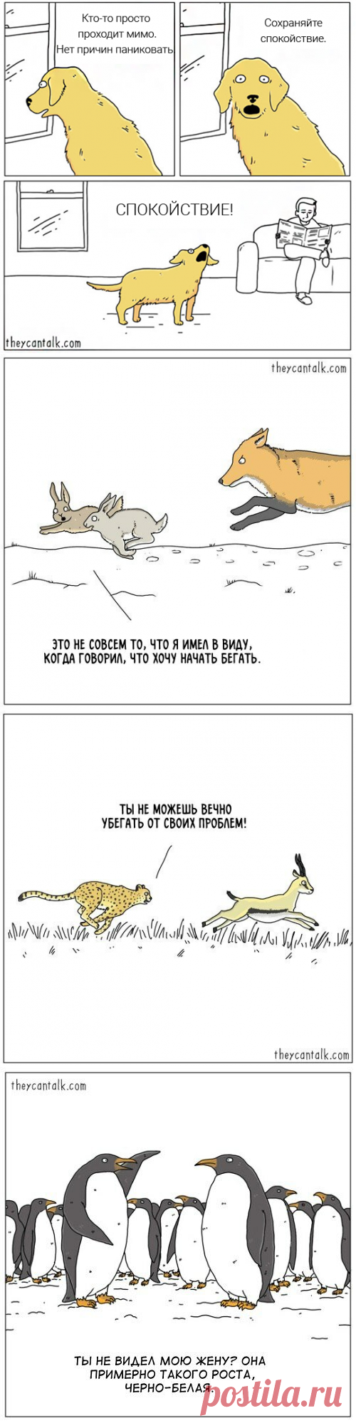 Если бы животные умели разговаривать - Уморительные комиксы от американского иллюстратора | Смешные картинки | Яндекс Дзен