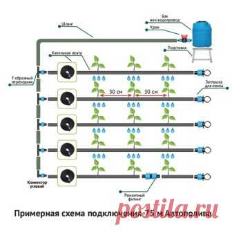 Купить Система капельного автоматического полива 