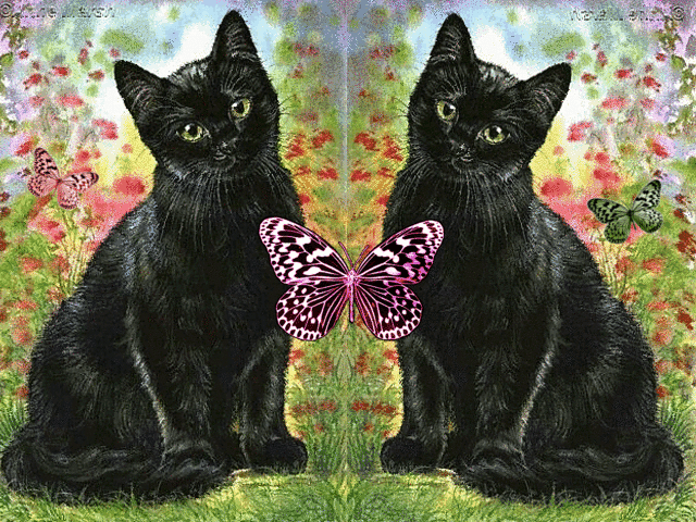 Котятки и бабочка
