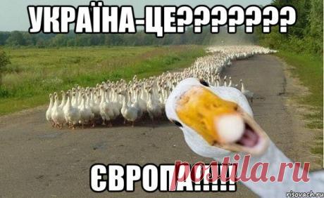 Стыдно быть идиотом? Евромечта украинцев начинает сбываться