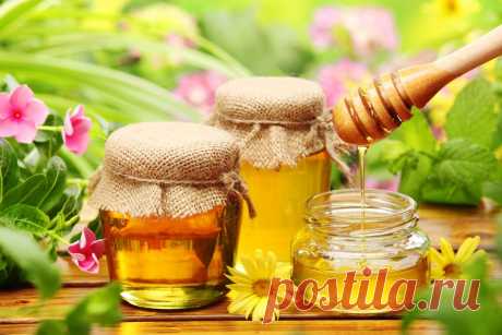Как проверить мед на натуральность самостоятельно? | ПолонСил.ру - социальная сеть здоровья