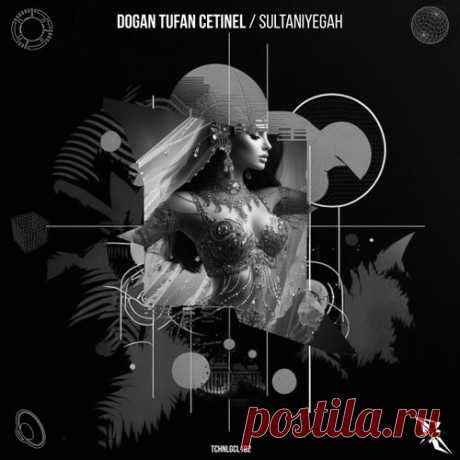 Dogan Tufan Cetinel - Sultaniyegah [Technological Records]