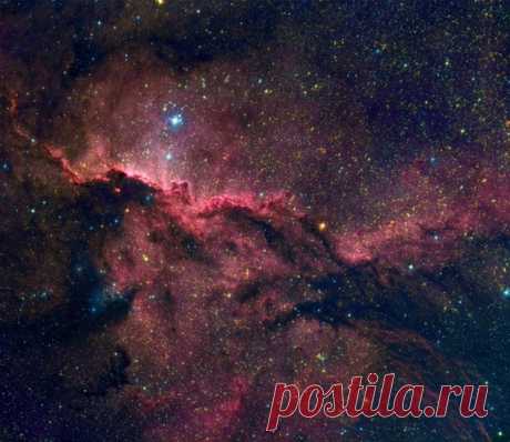 Эмиссионная и отражающая туманность NGC 6188 находится на краю большого молекулярного облака, невидимого в оптическом диапазоне, на расстоянии около 4 тысяч световых лет от нас в южном созвездии Жертвенника. Туманность окружает молодые массивные звезды ассоциации Жертвенник ОВ1. / Astro Analytics