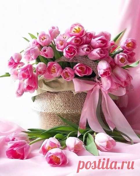 Поздравляем с Днём рождения всех, кто родился - 3 февраля! 😘😘😘