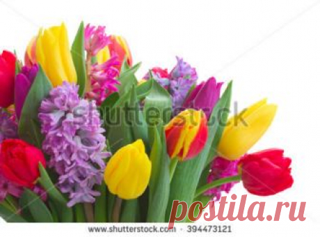 Bouquet Flowers Happy Birthday Imagen De Archivo (stock) 744240841 - Shutterstock