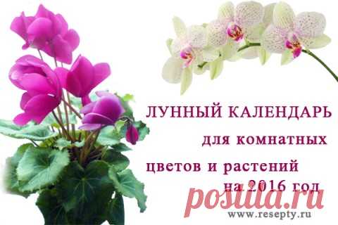 Календарь цветовода на 25 год
