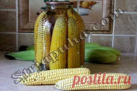 Кукуруза консервированная (в початках)