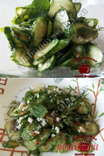 Салат из огурцов с мятой в чесночной заправке. Рецепт. Фото