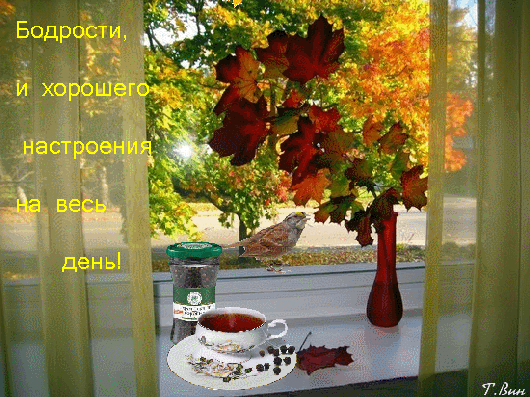 Анимированная открытка Бодрости, и хорошего настроения на весь день.