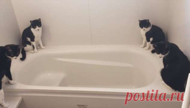 15 фото, на которых происходит не пойми что. Но понять хочется . Милая Я