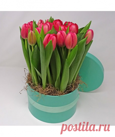 tulipanes de colores - Buscar con Google