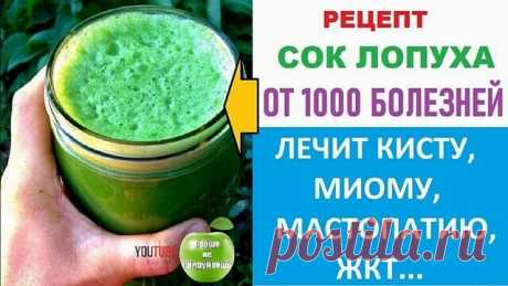 Готовим СОК ЛОПУХА - панацеей от многих недугов. Как и когда заготовить СОК от 1000 БОЛЕЗНЕЙ.