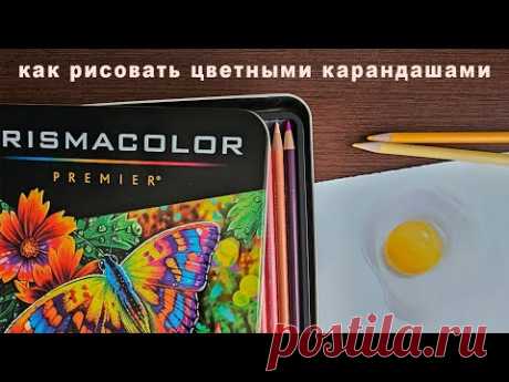 как рисовать цветными карандашами поэтапность рисования prismacolor premier