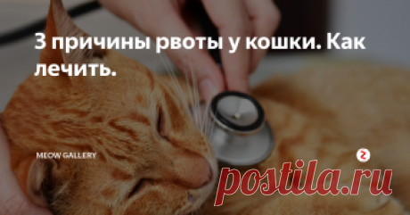 3 причины рвоты у кошки. Как лечить. Причины тошноты или рвоты у кошки
Рвота у кошки не всегда может быть вызвана наличием какого-либо заболевания. Если у неё не наблюдается ины