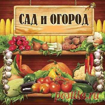 САЙТЫ про дачу : сад, огород, цветник | Записи в рубрике САЙТЫ про дачу : сад, огород, цветник | Сундук ПОЛЕЗНОСТЕЙ