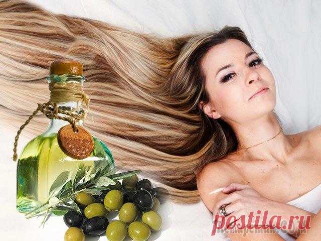 Маски для волос из оливкового масла: рецепты, польза, применение
