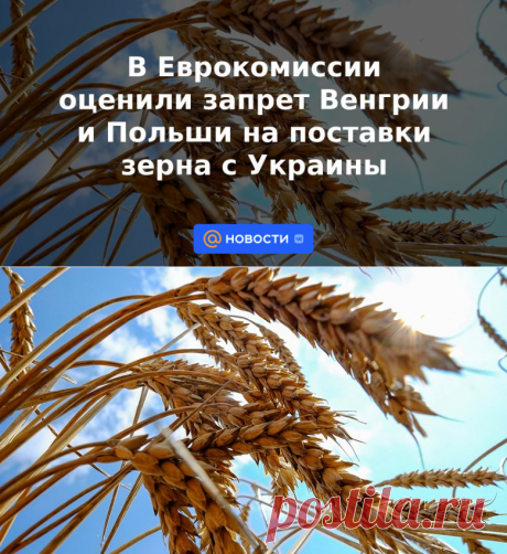 В Еврокомиссии оценили запрет Венгрии и Польши на поставки зерна с Украины | 16 апреля 2023 - Новости Mail.ru