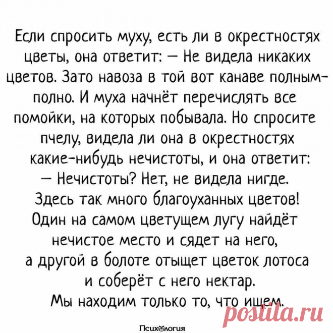 Спросила что он увидел что. Притча если спросить муху. Притча про какашку и мудреца. Притча если спросить муху видела ли. А унылому говну вечно стыдно за страну.