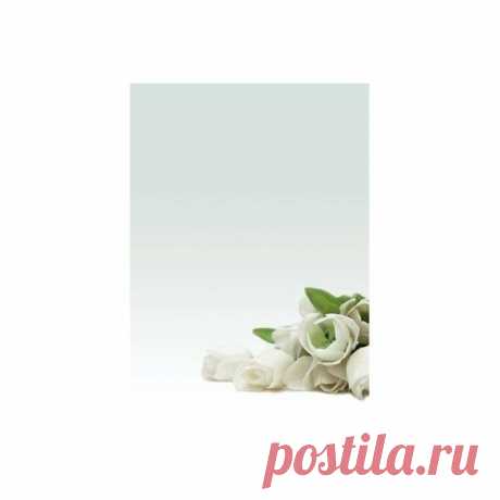 Дизайн-бумага А4 White Flowers (Белые цветы) (А4, 90г/м, 20 листов в пачке) DECAdry - Legacy
