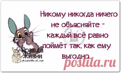 Фотографии Хроники - -‘๑’- С Нами Стыдно, зато Весело -‘๑’-