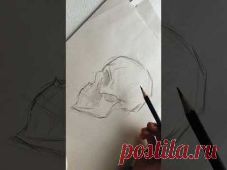 Sketch with pencil SKULL скетч черепа карандашом #sketch #artist
