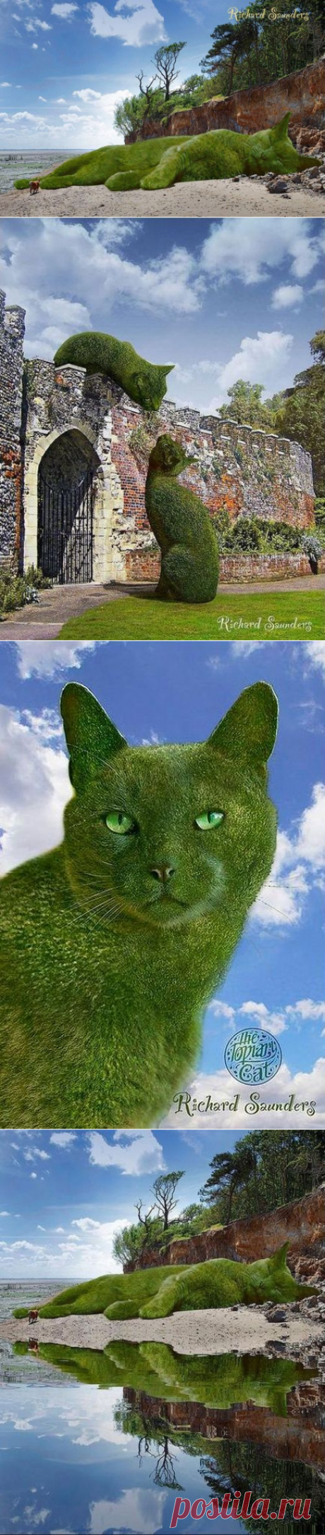 Ландшафтные коты и Садовник. Фотохудожник Rich Saunders.