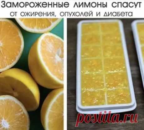 Лимоны замораживают в основном ради цедры. После размораживания цедра становится более мягкой и ее удобнее употреблять в пищу.
Как и у большинства других фруктов, в кожице лимона сконцентрирован максимум питательных веществ, помогающих регулировать уровень холестерина, укреплять иммунную систему и предотвращать рак. В ней также содержатся антимикробные, антигрибковые и антибактериальные вещества.