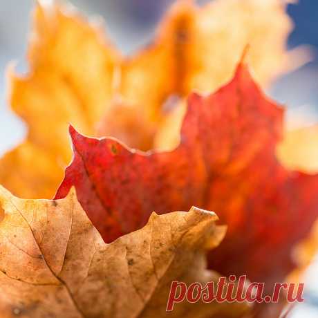 10727699236_769c7d6d68.jpg (500×500)