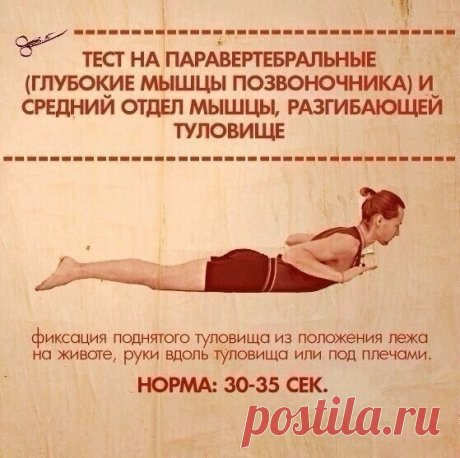 тест 8 упражнений-1