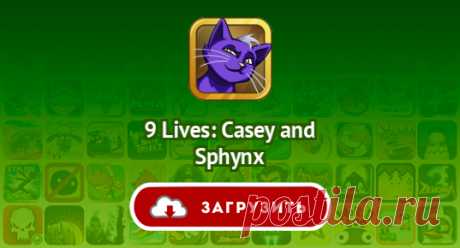 9 Lives: Casey and Sphynx